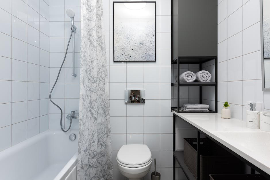 Revitalizing the Bathroom:  Renovate