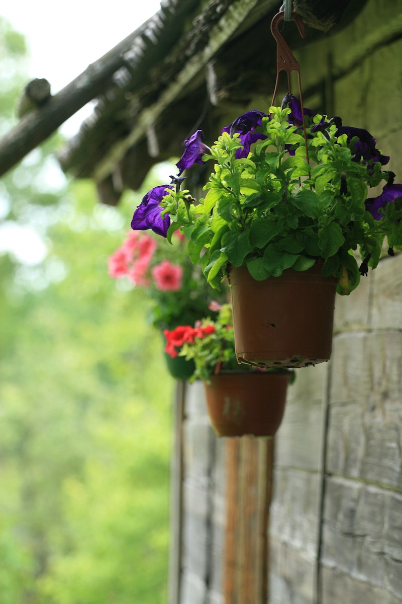 Revamping the Kitchen: A Unpleasant Makeover